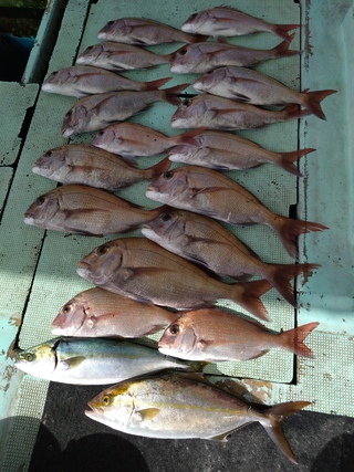 釣果写真