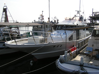 <平日>マダコ專門プラン