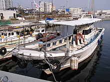 ☆午前☆アジ釣りプラン