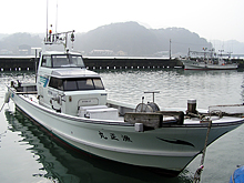 《半夜便》五目釣りプラン=船長おすすめ=