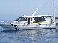 高知・土佐沖の落とし込みで狙う青物釣りプラン