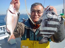 【3人以上の申込み&釣行なら1,000円OFF!!】五目釣りで色々なお魚を釣ってみよう!人数限定ゆったりプラン♪