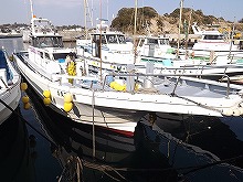 (土日祝)誰でも簡単に釣れちゃう五目釣りプラン