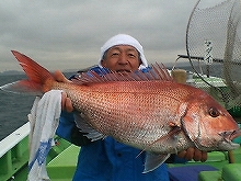 3/16�ʹߤΤ�ͽ������֡��ޥ����������ץ���3�Ͱʾ�ο���&��Ԥʤ�1,000��OFF