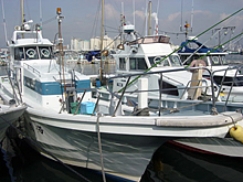 ءвֳꥤץ16,000/͡ˤưޤ