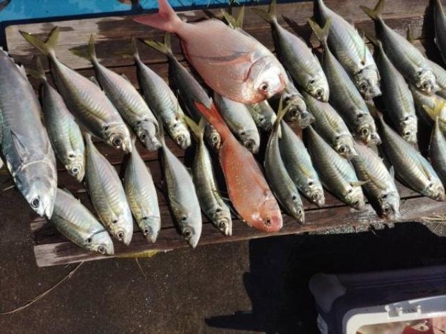 ˡ۶ץ˾Υåȡ֤ǽ1012̾ͤǾǤޤͿϤ̤