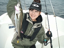 ��ī�إץ�󢡡�4���֥������ˡ�ե饤�������Х�����������������������