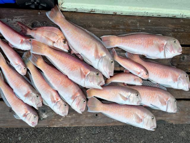 ڤ˾ۥޥܡ濼ܥ졼ץ