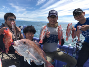 �ڥ��롼�׳��ʿ�����ꡪ��֤�Ǹ������ץ���