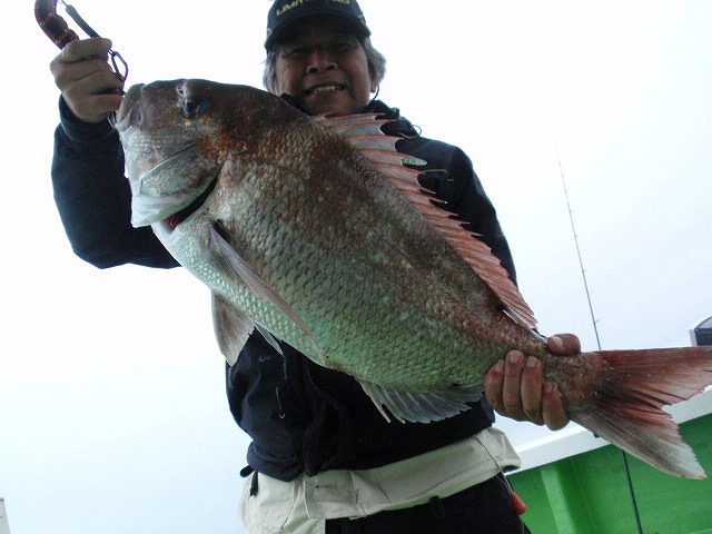 ��ʿ���ۥ����������ץ����뿩�ա��鿴�Ԥ������紿�ޡ���ƻ��¿�̤ǳڤ���������