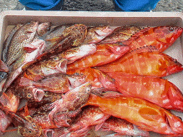 �����������ץ����ĥƥ��Ǥ�OK�Ǥ�����