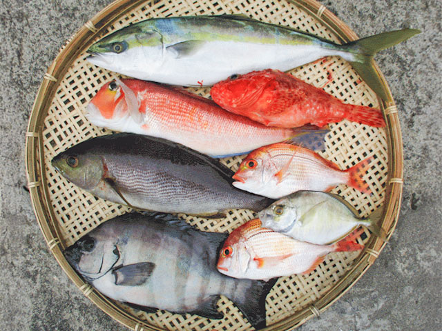 �������ˡ����ޥ������ץ��