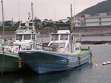 マルイカ釣りプラン