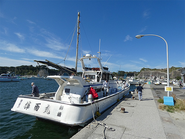 カワハギ釣りプラン