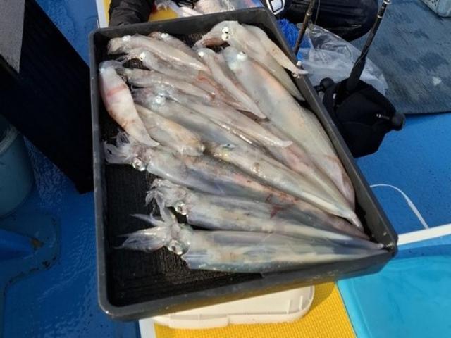 ��ꥤ�����ץ��