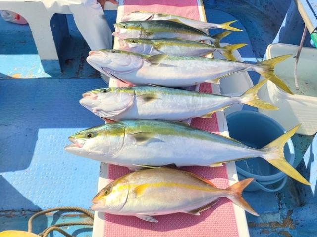 ��饵���ޥ������ץ��