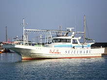 ★3人組以上のご予約&釣行で1,000円OFF★活きエビ使用!●午前●一つテンヤで釣る魚の王様マダイ釣りプラン