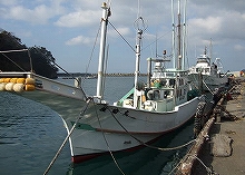 ☆じっくりコース☆コマセ五目釣りプラン