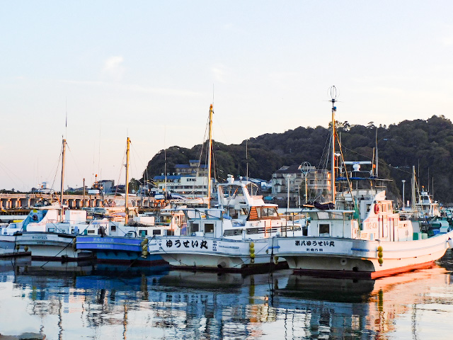 LT�ҥ�����ץ��