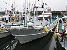 �����ء������������ץ��