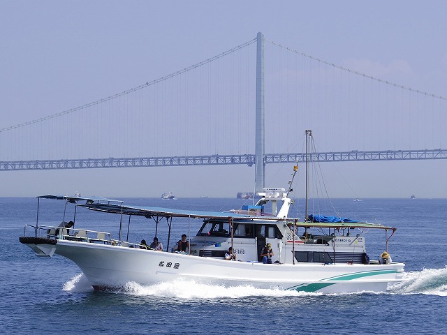 ショウサイフグ釣りプラン☆☆フグ処理責任者が身欠させて頂きます☆☆レンタルの竿が必要な方は本数を予約時にお申し込みください☆☆