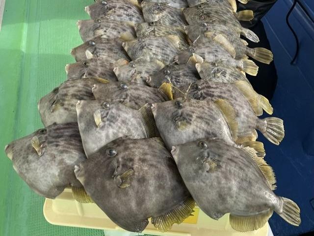カワハギ釣りプラン★★料金にはエサ・氷が含まれます★★