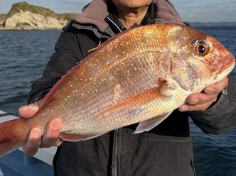 �ޥ�������饵�������ץ��