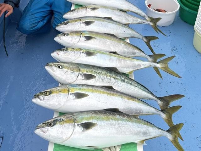 ��ʿ���ե�饵���ޥ����������ץ��