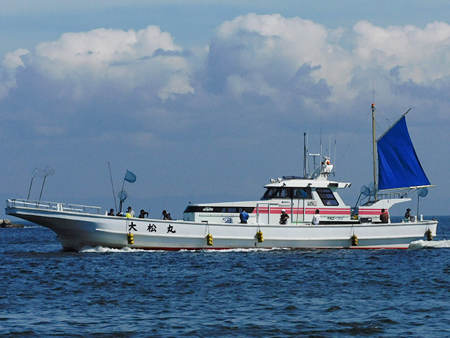 ヤリイカ釣りプラン