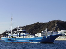 ��ʿ������ۥ��硼���إ��������ȥ����Υ�졼���ץ��ʥƥ�䡦ŷ��ɤ���Ǥ�OK����
