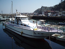 ◆午後◆アマダイ釣りプラン