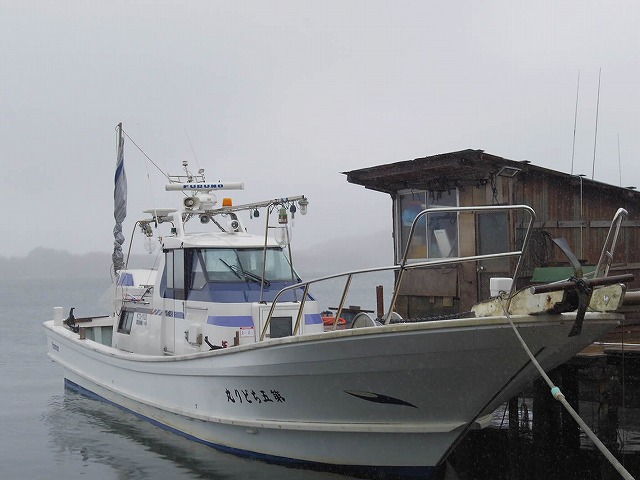 ���������������ץ��