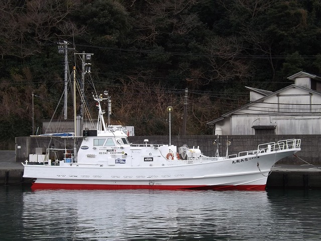 スルメイカ釣りプラン