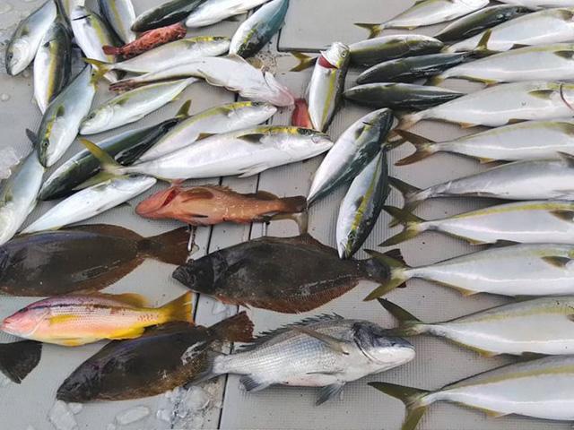 【12/21・12/28出船!】◆午前便◆ノマセ釣りプラン