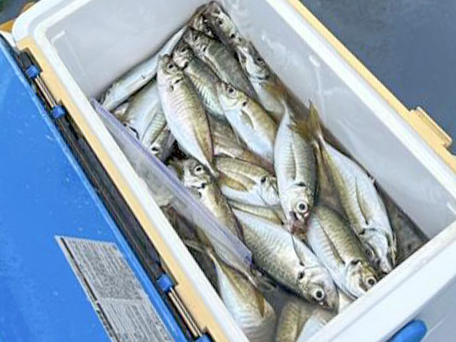 ����墡LT�������ץ��