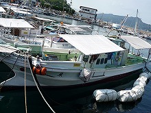 <上関沖>マダイ釣りプラン※釣り場が八島の場合は+3,000円