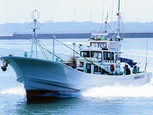 ◇午前◇カツオ・マグロ釣りプラン=漁場によって料金が変動します=
