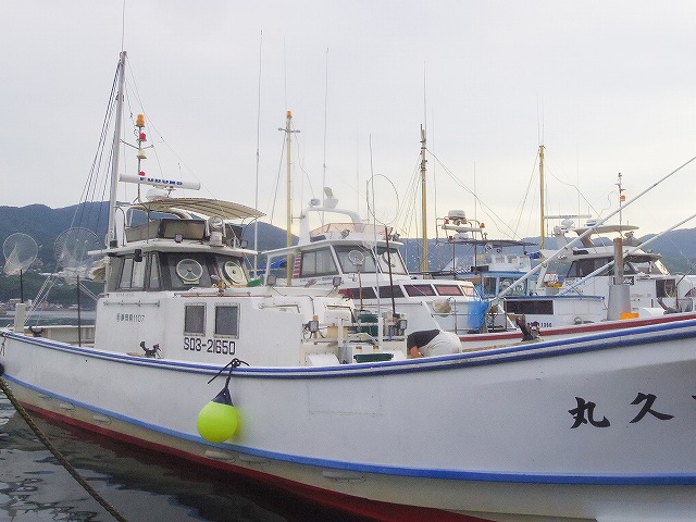 ◇午後◇カイワリ&イサキのリレー釣りプラン