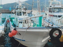 ◇午後◇アジ泳がせ釣りプラン