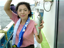 【平日】◆午前◆八景沖のLTアジ釣りプラン