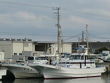 �ʸ����˥ҥ����ޥϥ��Υ�졼���ץ��