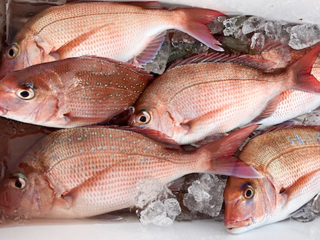 �����֡��ޥ����������ץ��