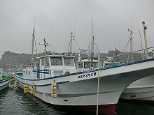 ヤリイカ釣りプラン