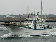��ʿ����������������������졼���ץ��
