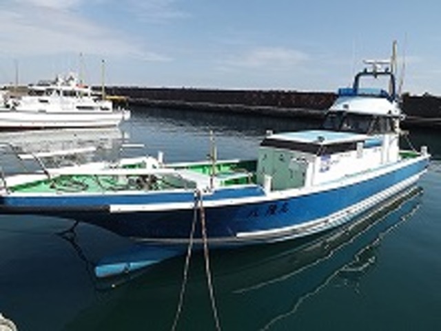 (土日祝)ヤリイカ・スルメイカ釣りプラン