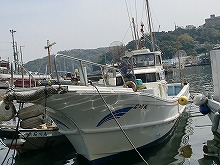 (平日)◇午前◇真鶴沖のコマセ五目釣りプラン