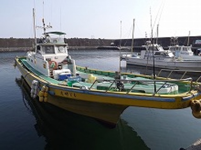 (平日)落とし込みサビキ釣りプラン