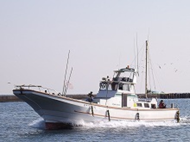 �����������ץ��