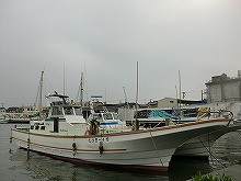 �������ץ���ʿ����