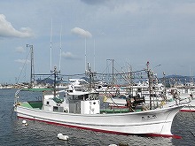 根魚(アラカブ他)五目釣りプラン